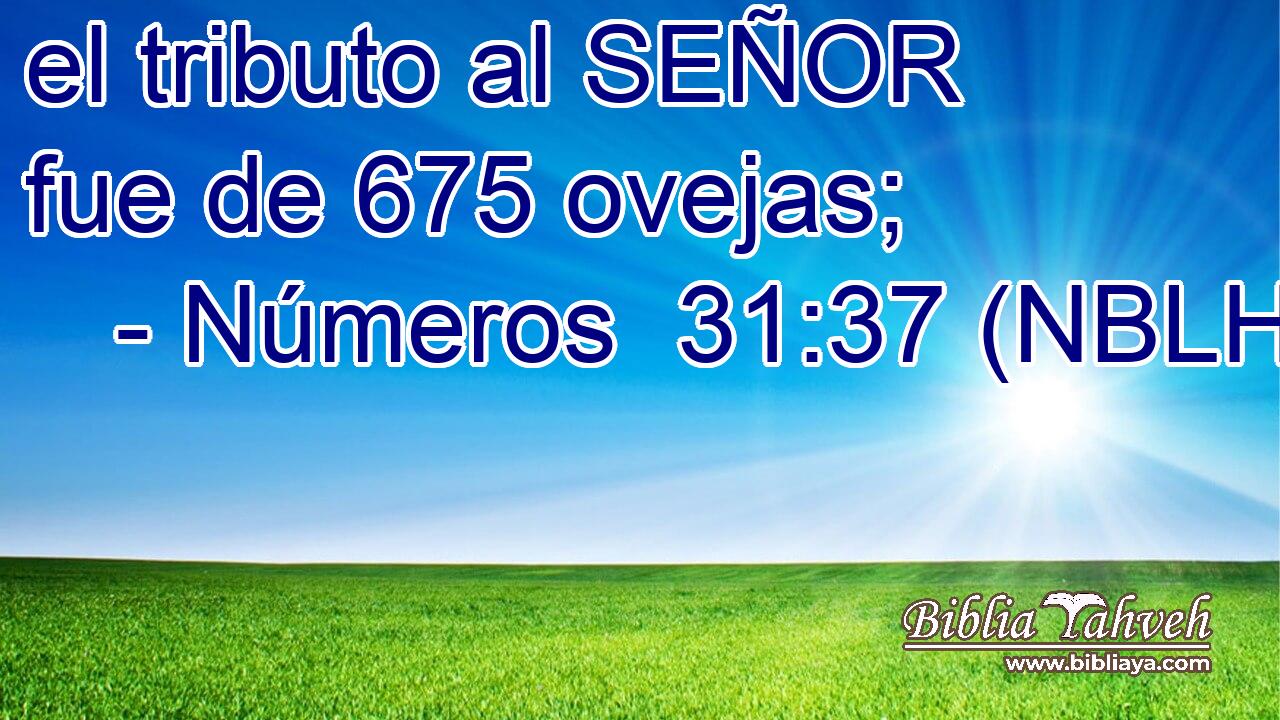  el tributo al SEÑOR fue de 675 ovejas; 