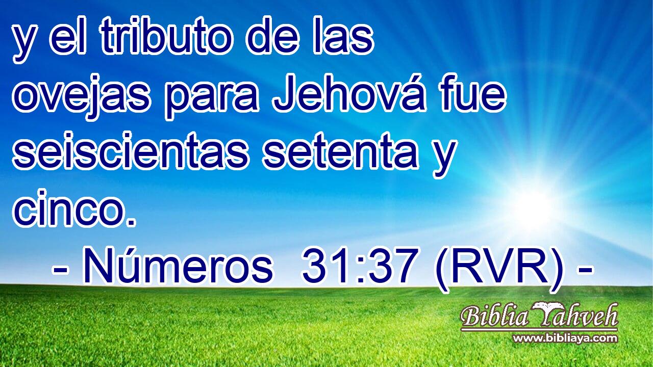 y el tributo de las ovejas para Jehová fue seiscientas setenta y cinco.