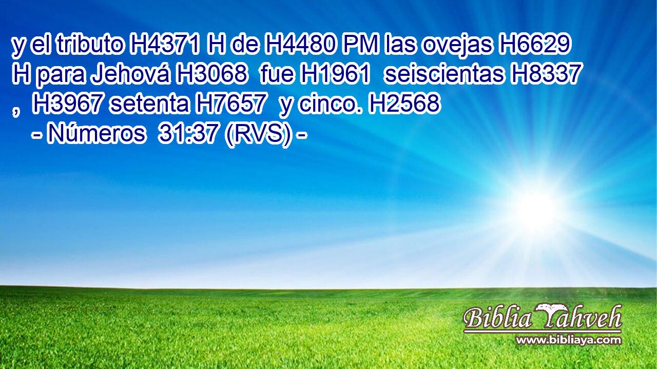 y el tributo H4371 H de H4480 PM las ovejas H6629 H para Jehová H3068  fue H1961  seiscientas H8337 ,  H3967 setenta H7657  y cinco. H2568  