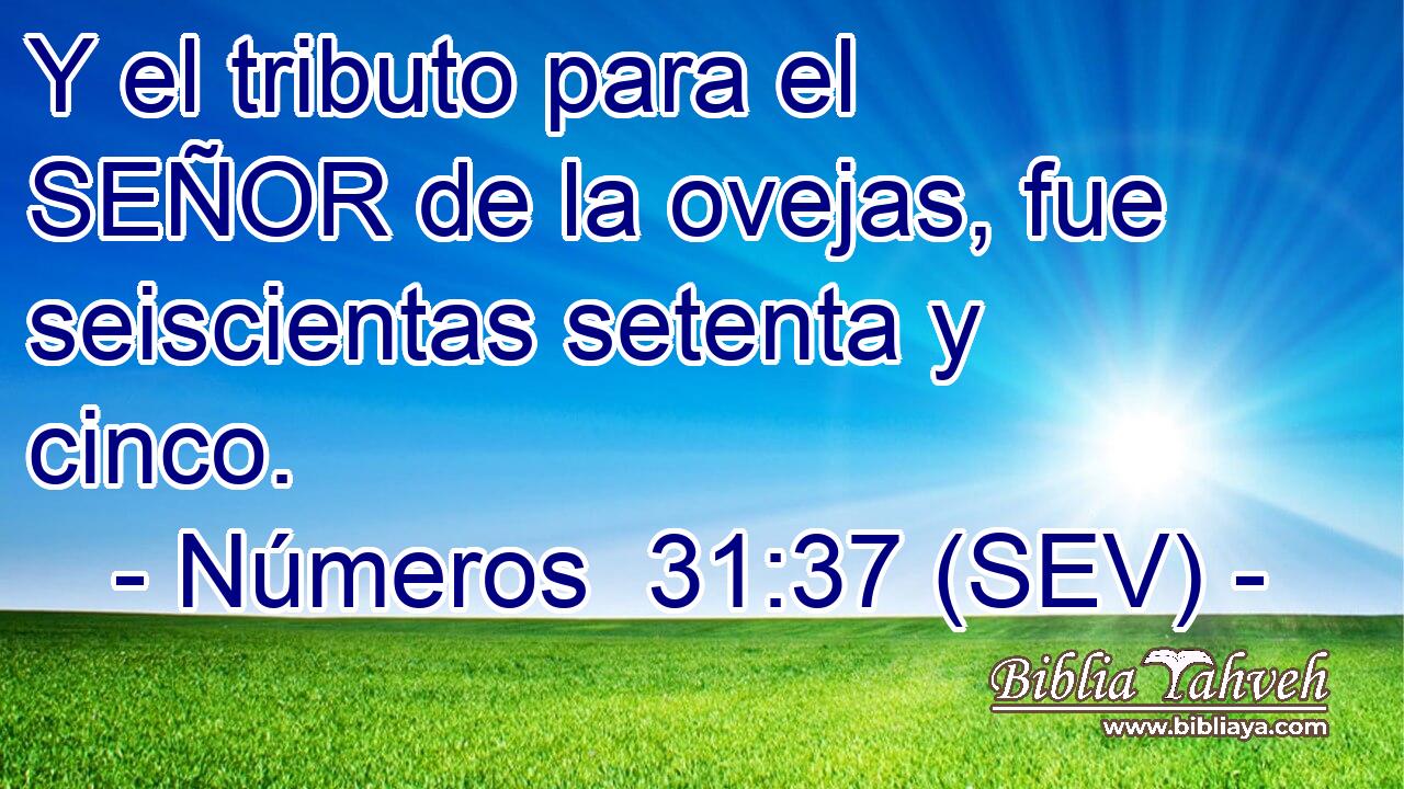 Y el tributo para el SEÑOR de la ovejas, fue seiscientas setenta y cinco.
