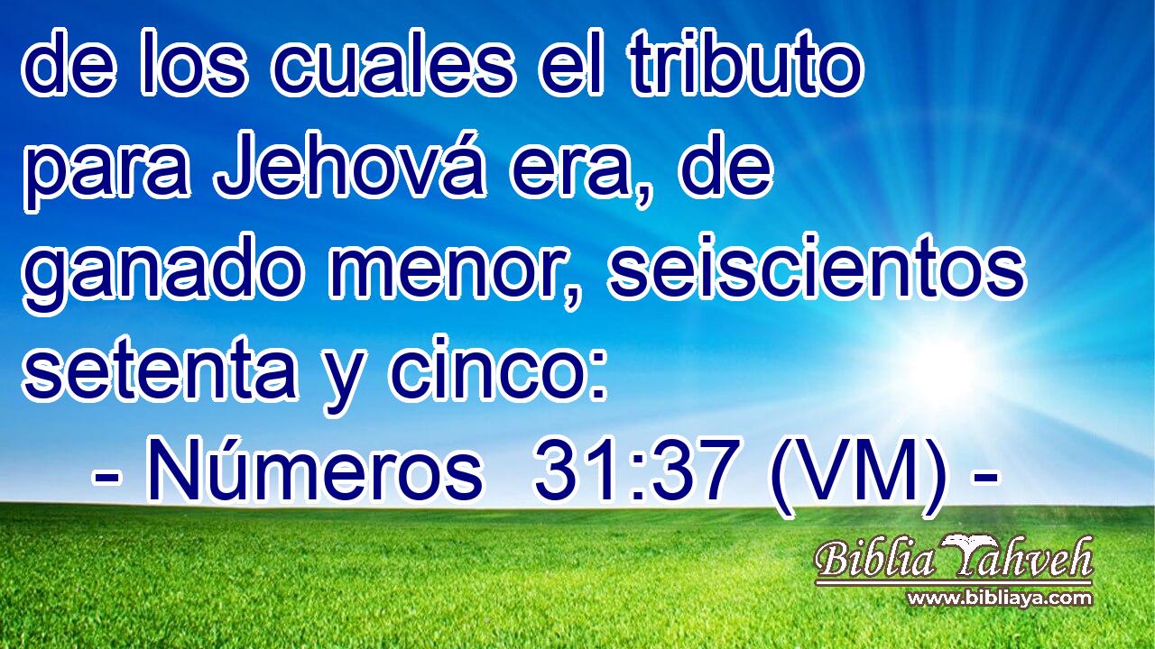  de los cuales el tributo para Jehová era, de ganado menor, seiscientos setenta y cinco: 