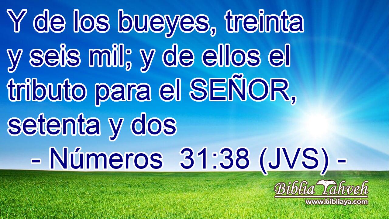 Y de los bueyes, treinta y seis mil; y de ellos el tributo para el SEÑOR, setenta y dos