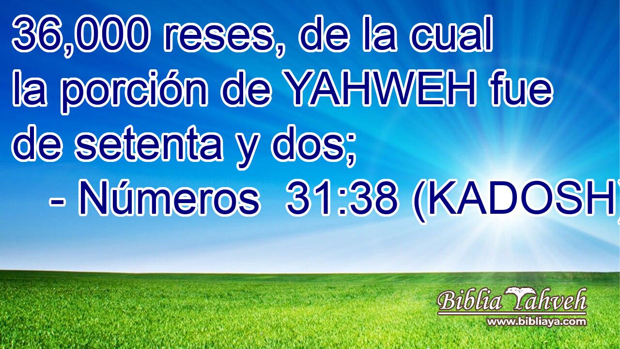  36,000 reses, de la cual la porción de YAHWEH fue de setenta y dos; 