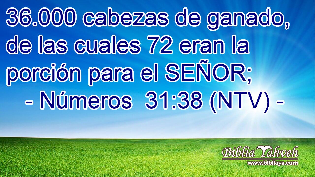 36.000 cabezas de ganado, de las cuales 72 eran la porción para el SEÑOR;