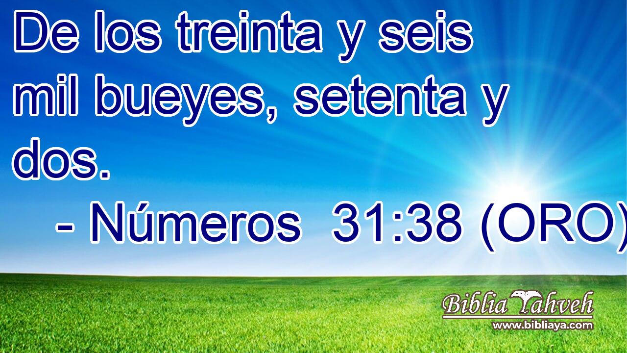  De los treinta y seis mil bueyes, setenta y dos. 