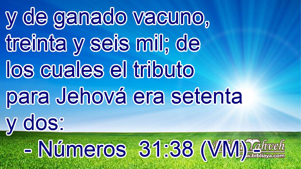  y de ganado vacuno, treinta y seis mil; de los cuales el tributo para Jehová era setenta y dos: 