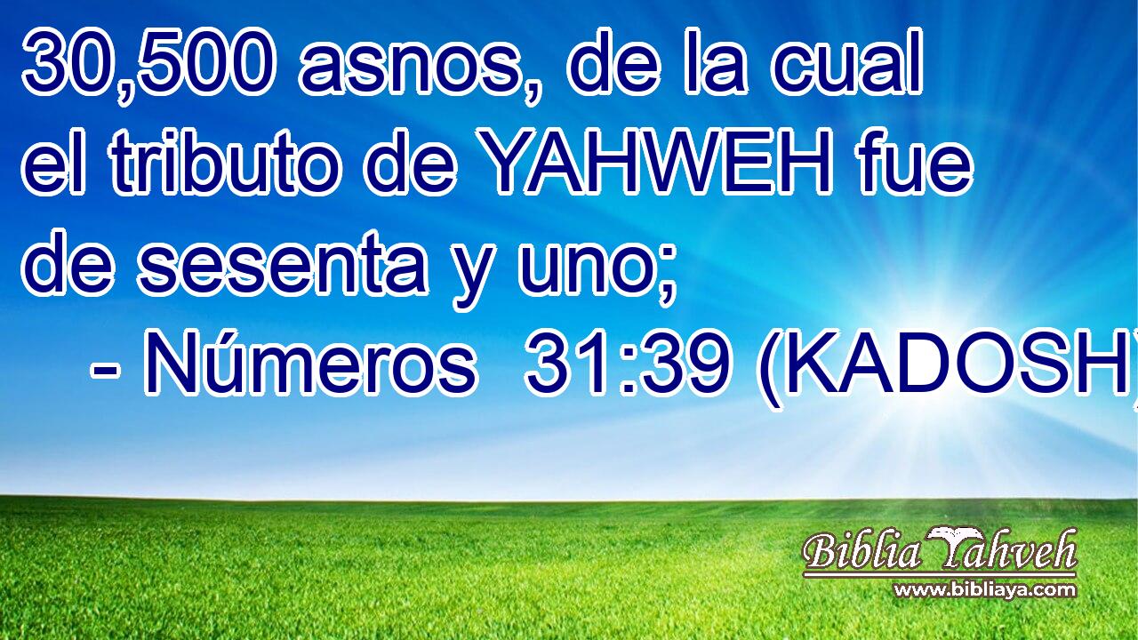  30,500 asnos, de la cual el tributo de YAHWEH fue de sesenta y uno; 