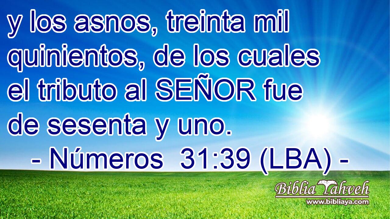 y los asnos, treinta mil quinientos, de los cuales el tributo al SEÑOR fue de sesenta y uno.