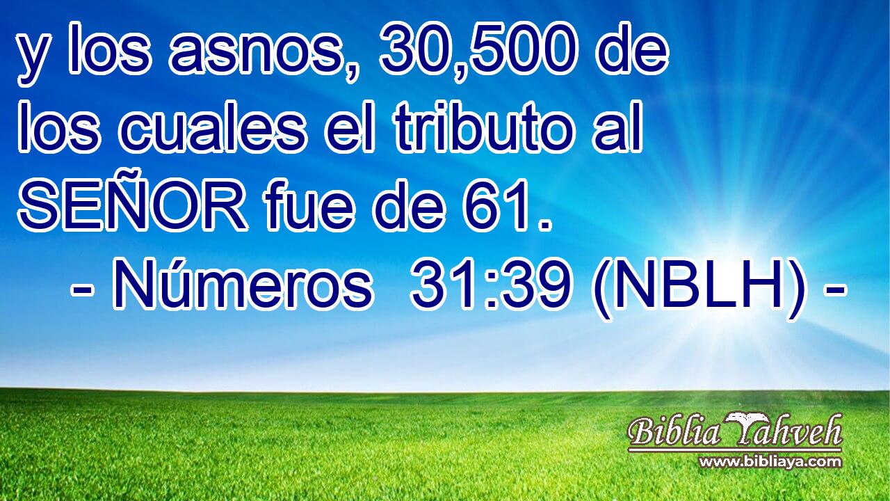  y los asnos, 30,500 de los cuales el tributo al SEÑOR fue de 61. 