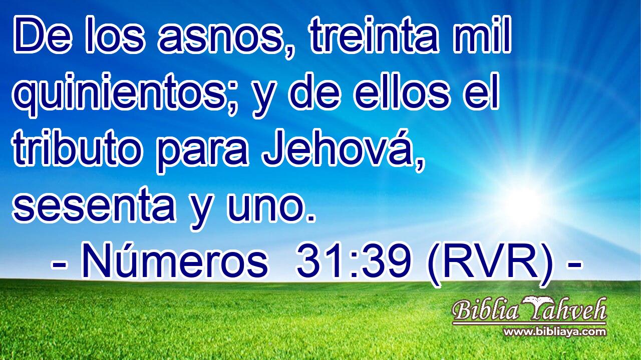 De los asnos, treinta mil quinientos; y de ellos el tributo para Jehová, sesenta y uno.