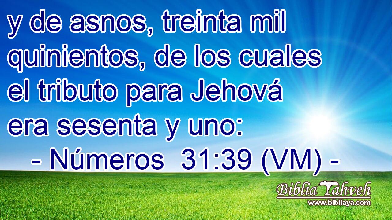  y de asnos, treinta mil quinientos, de los cuales el tributo para Jehová era sesenta y uno: 