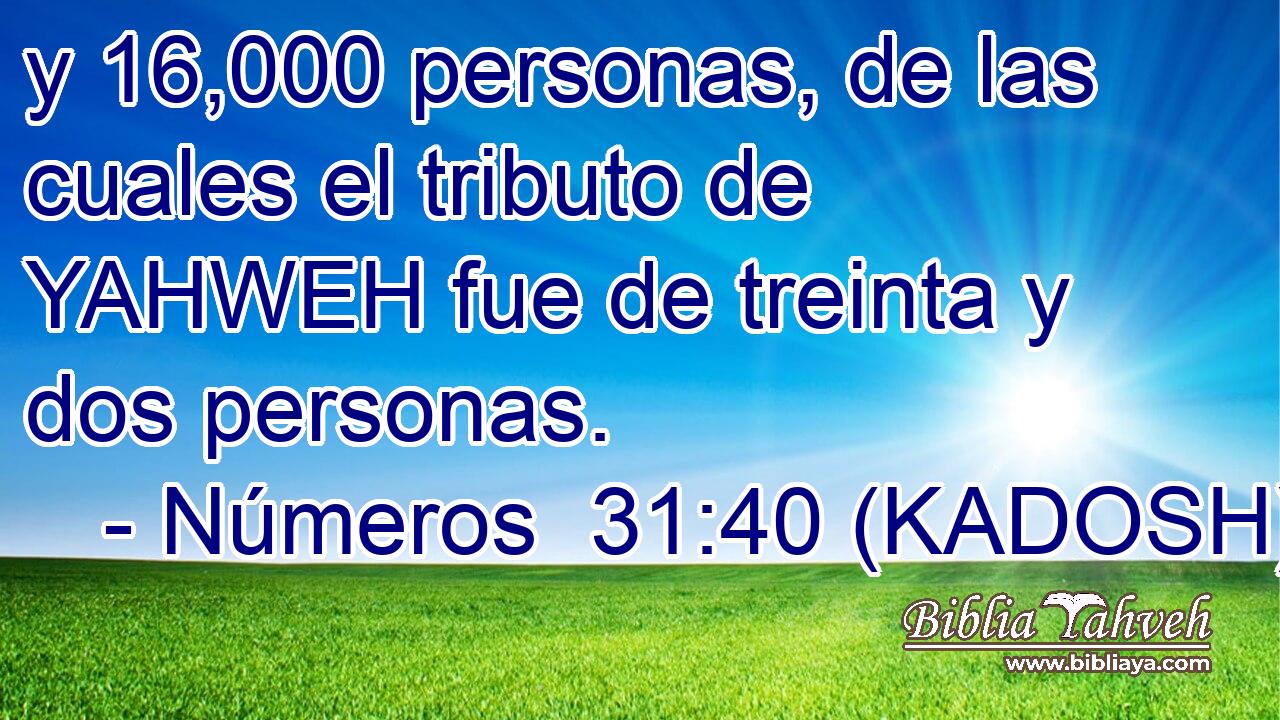  y 16,000 personas, de las cuales el tributo de YAHWEH fue de treinta y dos personas. 