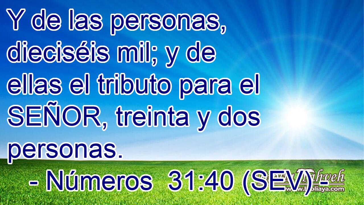 Y de las personas, dieciséis mil; y de ellas el tributo para el SEÑOR, treinta y dos personas.