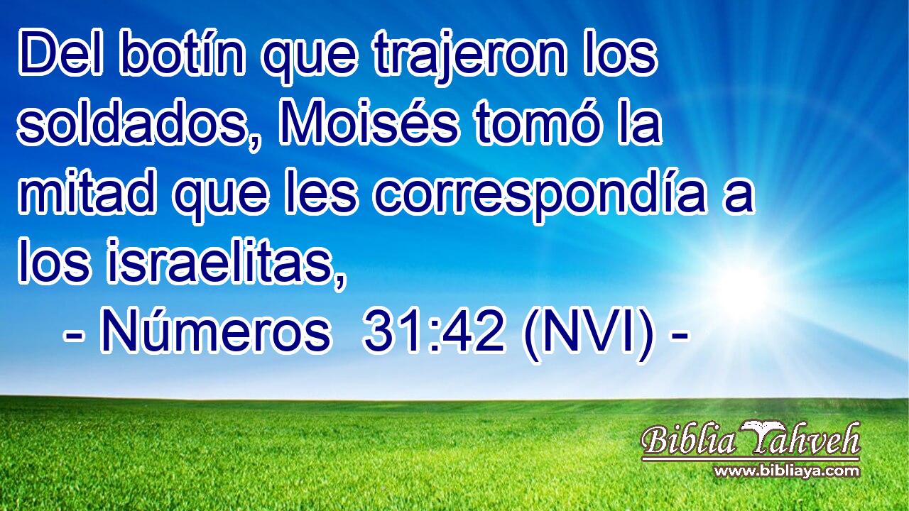  Del botín que trajeron los soldados, Moisés tomó la mitad que les correspondía a los israelitas, 
