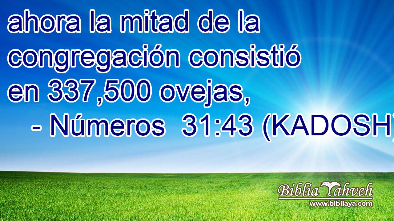  ahora la mitad de la congregación consistió en 337,500 ovejas, 