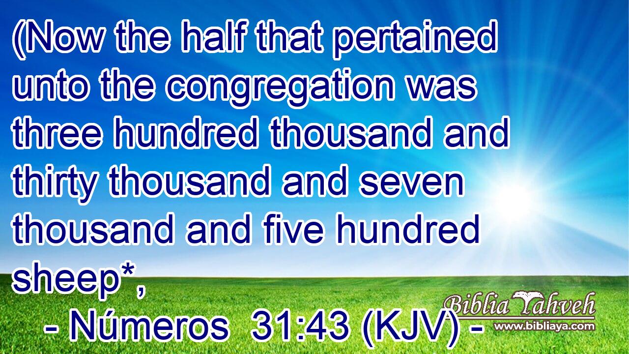 (Now the half that pertained unto the congregation was three hundred thousand and thirty thousand and seven thousand and five hundred sheep*,