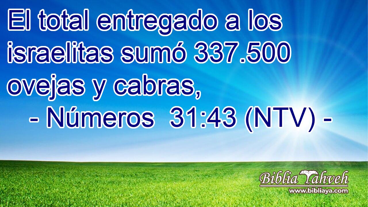 El total entregado a los israelitas sumó 337.500 ovejas y cabras,
