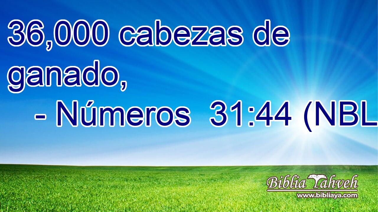  36,000 cabezas de ganado, 