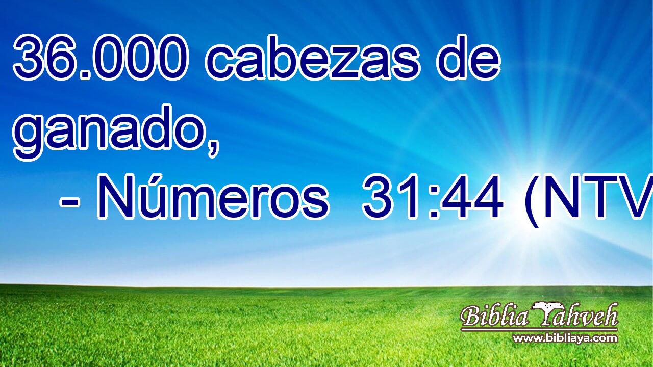 36.000 cabezas de ganado,