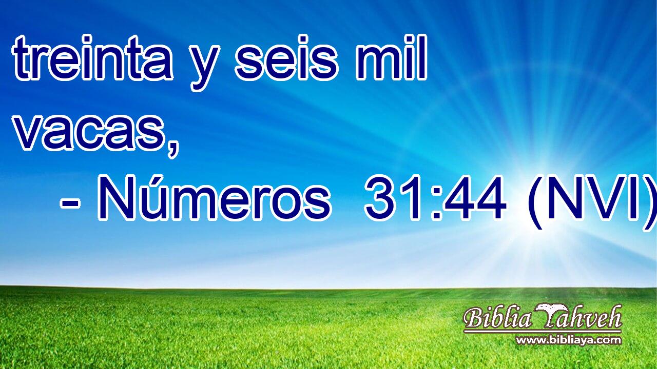  treinta y seis mil vacas, 