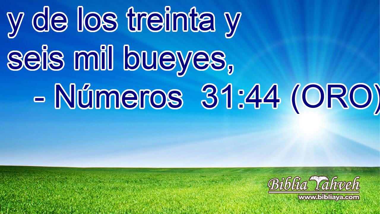  y de los treinta y seis mil bueyes, 