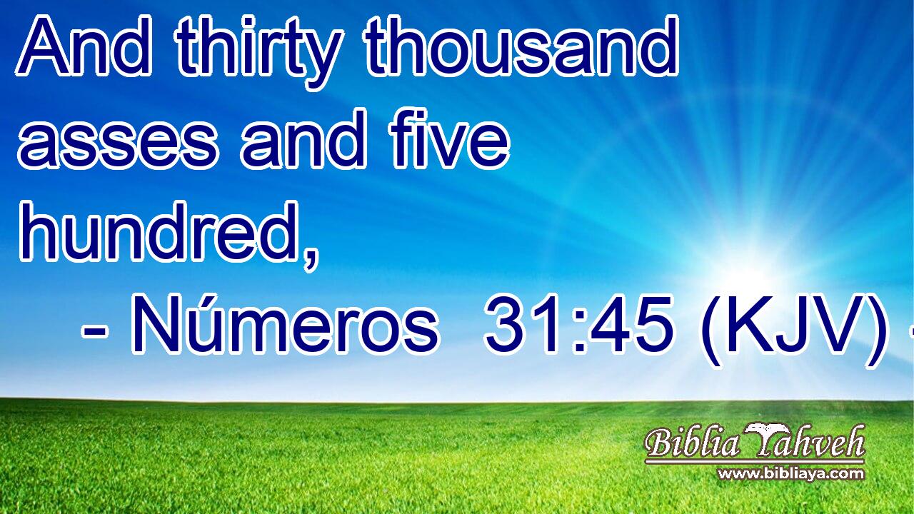 And thirty thousand asses and five hundred,
