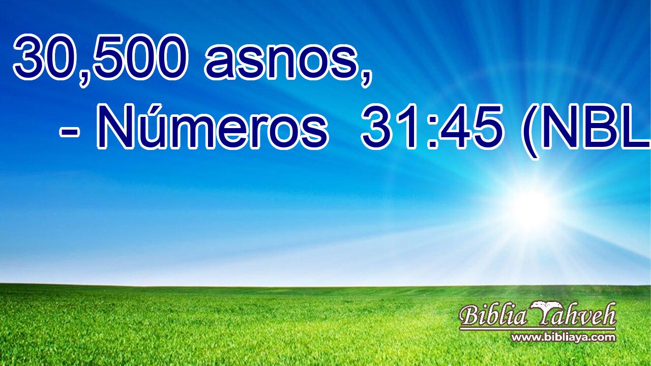  30,500 asnos, 
