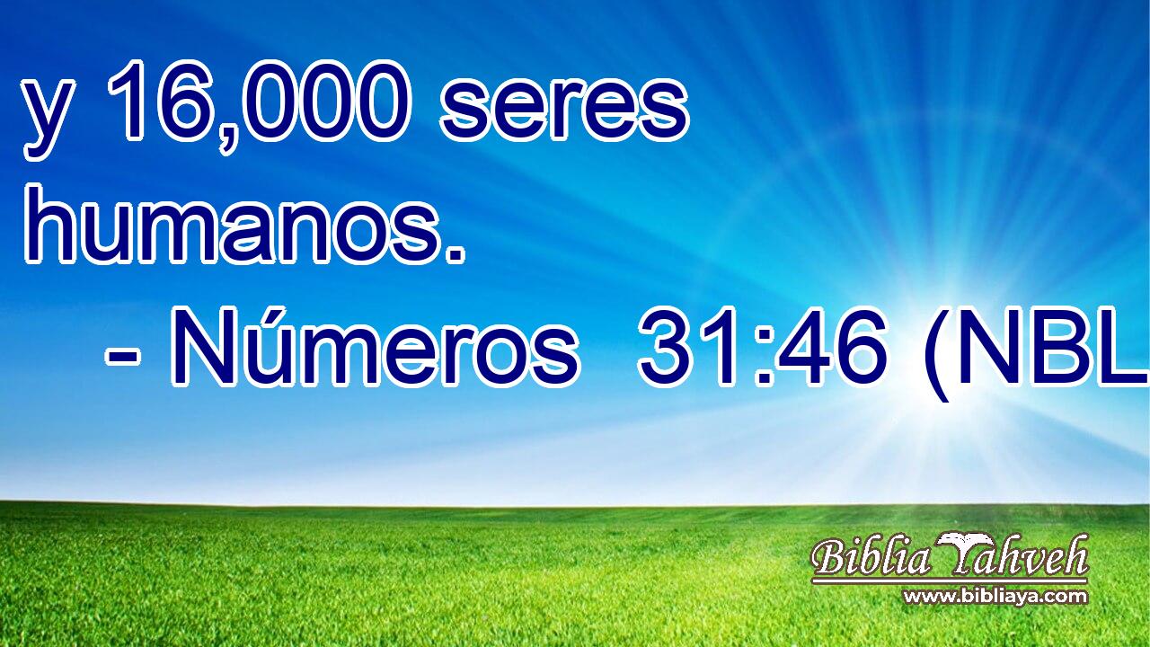  y 16,000 seres humanos. 