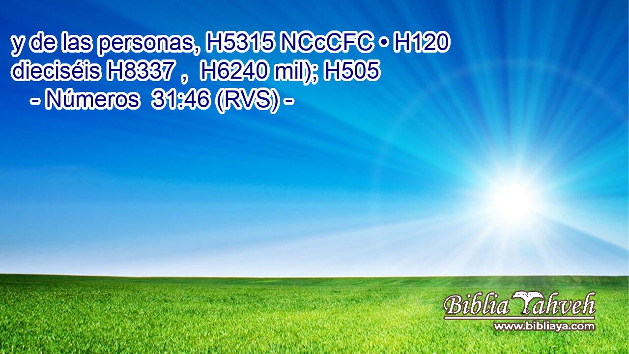 y de las personas, H5315 NCcCFC • H120  dieciséis H8337 ,  H6240 mil); H505  