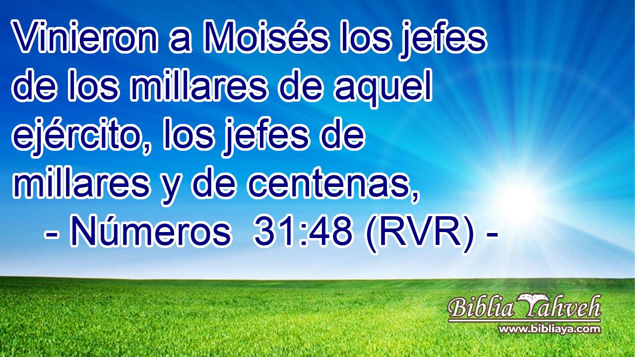 Vinieron a Moisés los jefes de los millares de aquel ejército, los jefes de millares y de centenas,
