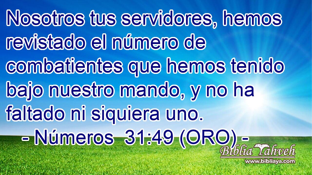 Nosotros tus servidores, hemos revistado el número de combatientes que hemos tenido bajo nuestro mando, y no ha faltado ni siquiera uno. 