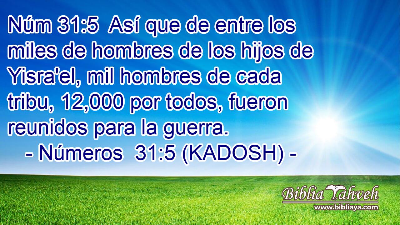  Así que de entre los miles de hombres de los hijos de Yisra'el, mil hombres de cada tribu, 12,000 por todos, fueron reunidos para la guerra. 