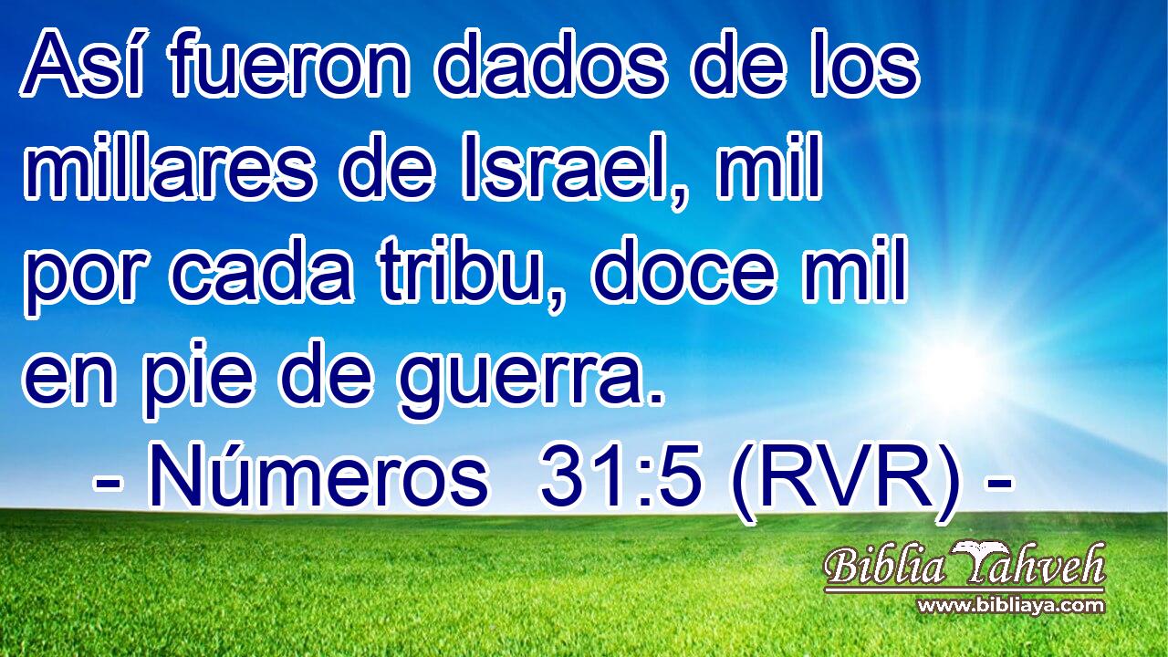 Así fueron dados de los millares de Israel, mil por cada tribu, doce mil en pie de guerra.