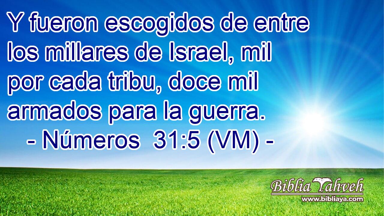  Y fueron escogidos de entre los millares de Israel, mil por cada tribu, doce mil armados para la guerra. 