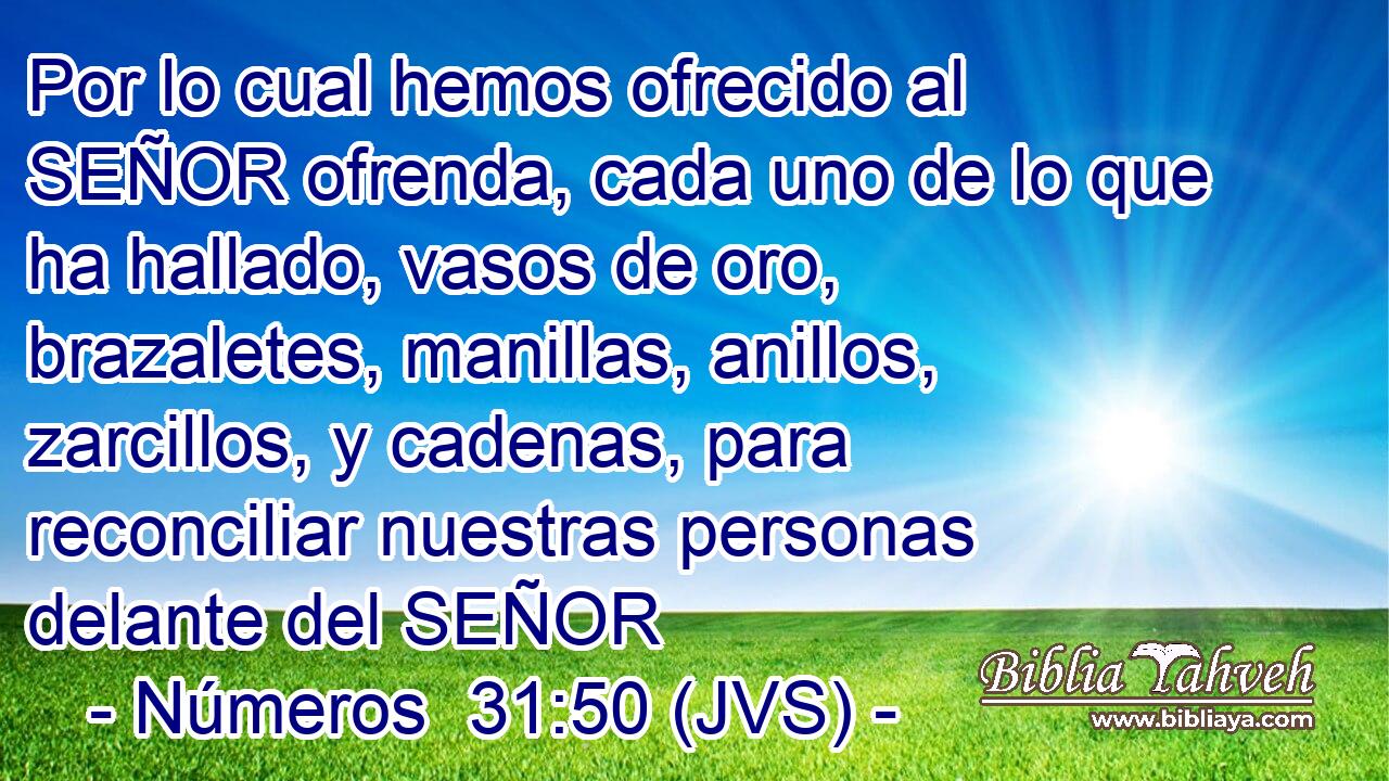 Por lo cual hemos ofrecido al SEÑOR ofrenda, cada uno de lo que ha hallado, vasos de oro, brazaletes, manillas, anillos, zarcillos, y cadenas, para reconciliar nuestras personas delante del SEÑOR