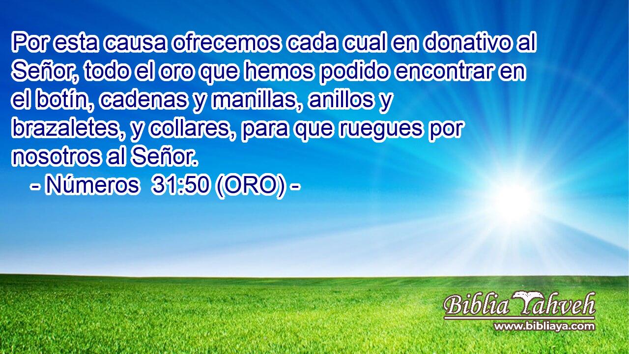  Por esta causa ofrecemos cada cual en donativo al Señor, todo el oro que hemos podido encontrar en el botín, cadenas y manillas, anillos y brazaletes, y collares, para que ruegues por nosotros al Señor. 