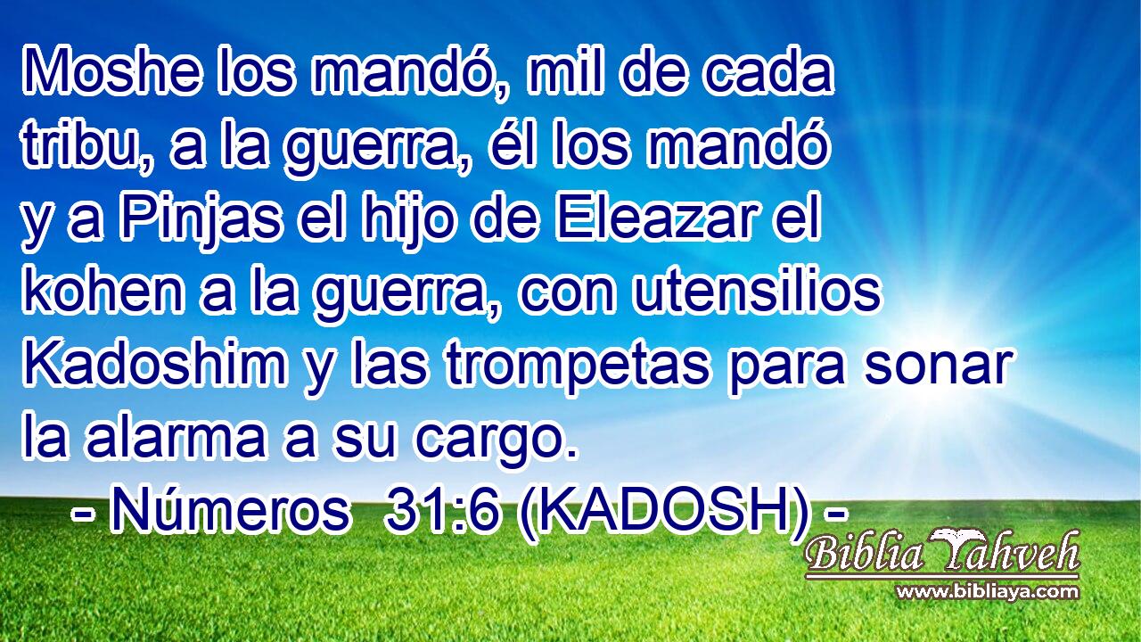  Moshe los mandó, mil de cada tribu, a la guerra, él los mandó y a Pinjas el hijo de Eleazar el kohen a la guerra, con utensilios Kadoshim y las trompetas para sonar la alarma a su cargo. 