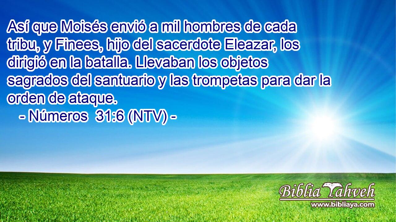Así que Moisés envió a mil hombres de cada tribu, y Finees, hijo del sacerdote Eleazar, los dirigió en la batalla. Llevaban los objetos sagrados del santuario y las trompetas para dar la orden de ataque.