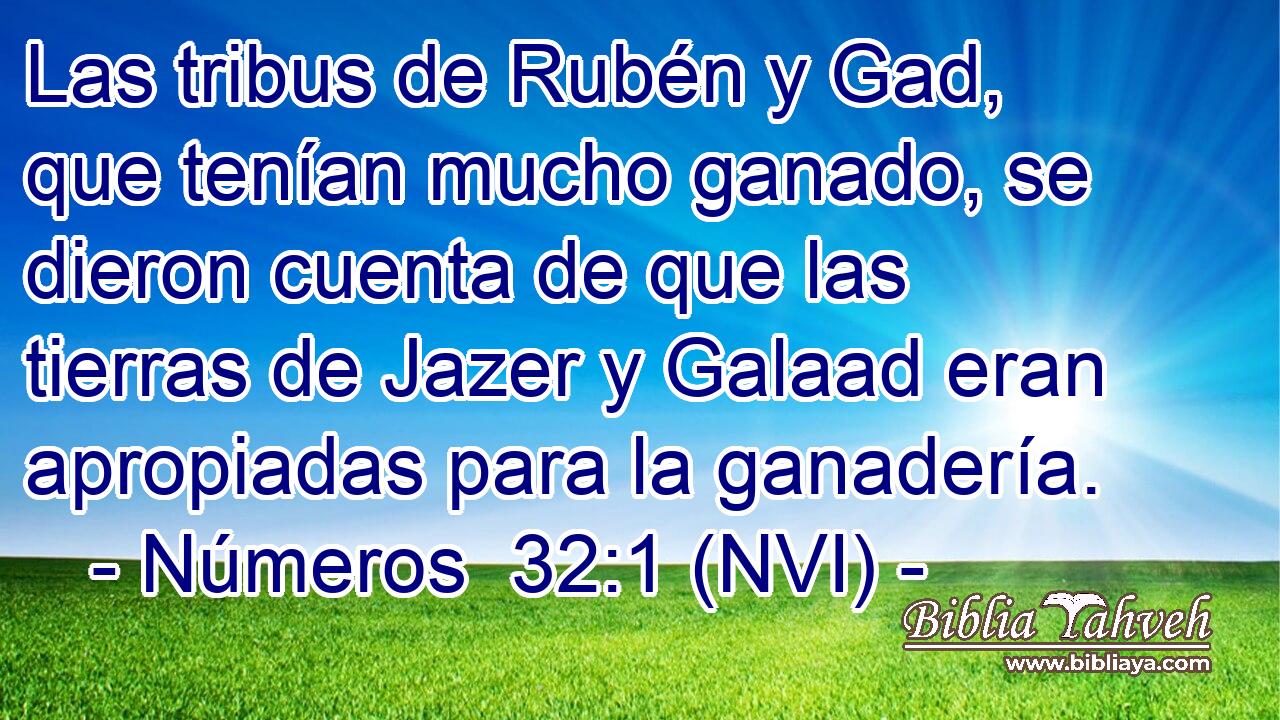  Las tribus de Rubén y Gad, que tenían mucho ganado, se dieron cuenta de que las tierras de Jazer y Galaad eran apropiadas para la ganadería. 