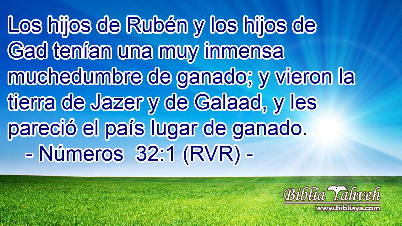 Los hijos de Rubén y los hijos de Gad tenían una muy inmensa muchedumbre de ganado; y vieron la tierra de Jazer y de Galaad, y les pareció el país lugar de ganado.