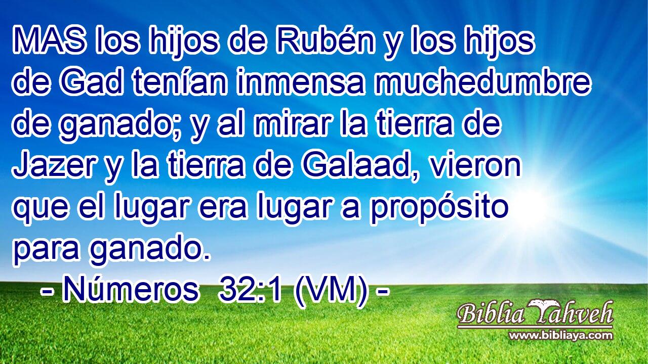  MAS los hijos de Rubén y los hijos de Gad tenían inmensa muchedumbre de ganado; y al mirar la tierra de Jazer y la tierra de Galaad, vieron que el lugar era lugar a propósito para ganado. 