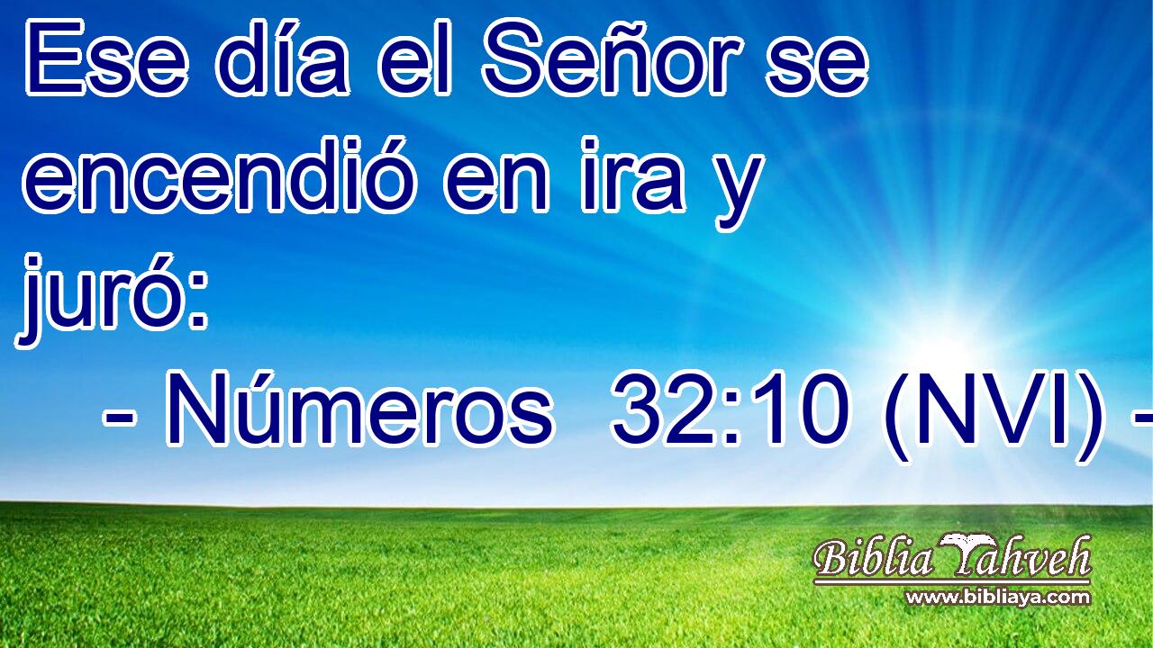  Ese día el Señor se encendió en ira y juró: 