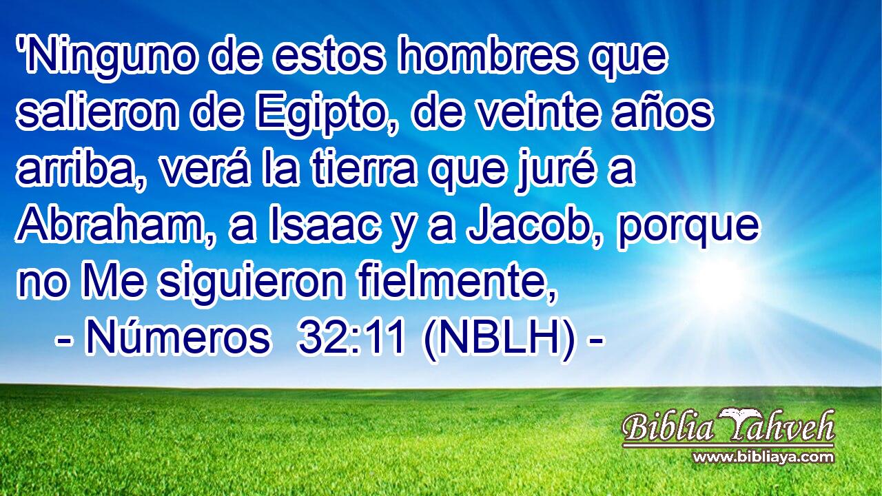  'Ninguno de estos hombres que salieron de Egipto, de veinte años arriba, verá la tierra que juré a Abraham, a Isaac y a Jacob, porque no Me siguieron fielmente, 