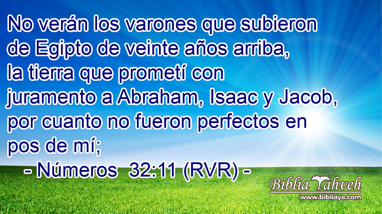 No verán los varones que subieron de Egipto de veinte años arriba, la tierra que prometí con juramento a Abraham, Isaac y Jacob, por cuanto no fueron perfectos en pos de mí;