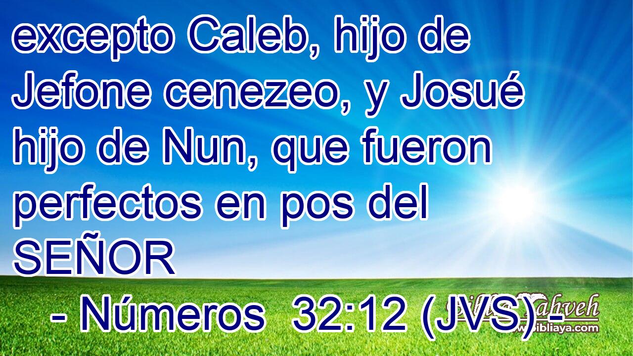 excepto Caleb, hijo de Jefone cenezeo, y Josué hijo de Nun, que fueron perfectos en pos del SEÑOR