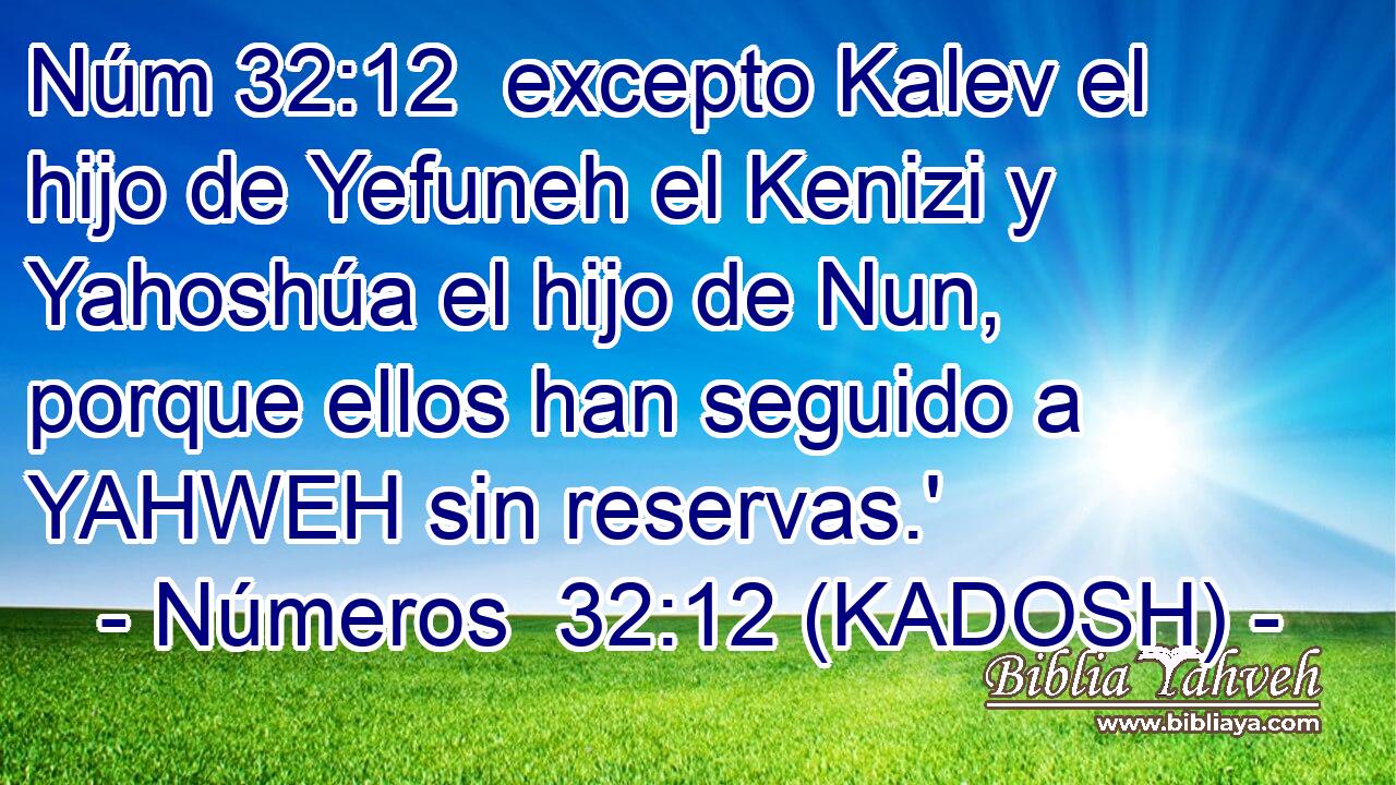  excepto Kalev el hijo de Yefuneh el Kenizi y Yahoshúa el hijo de Nun, porque ellos han seguido a YAHWEH sin reservas.' 