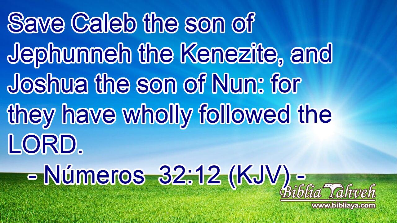 Save Caleb the son of Jephunneh the Kenezite, and Joshua the son of Nun: for they have wholly followed the LORD.