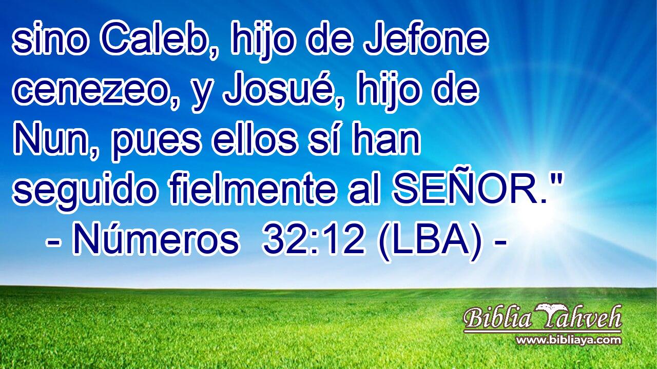 sino Caleb, hijo de Jefone cenezeo, y Josué, hijo de Nun, pues ellos sí han seguido fielmente al SEÑOR.