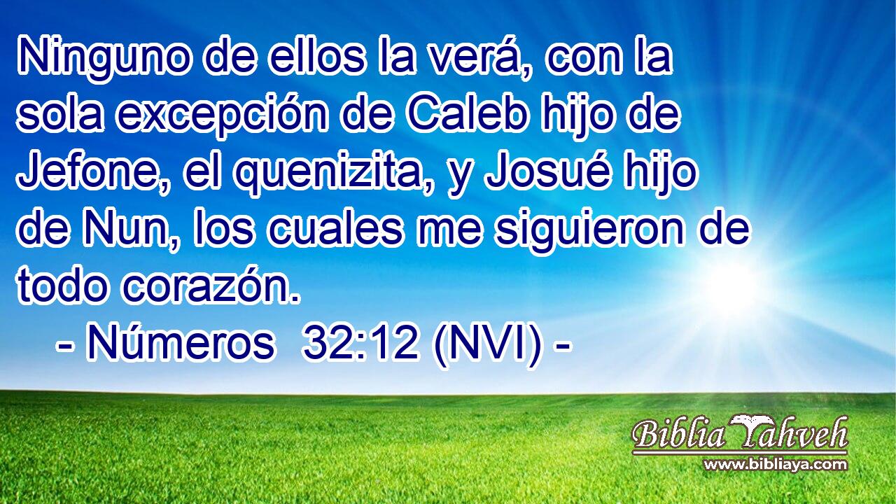  Ninguno de ellos la verá, con la sola excepción de Caleb hijo de Jefone, el quenizita, y Josué hijo de Nun, los cuales me siguieron de todo corazón. 