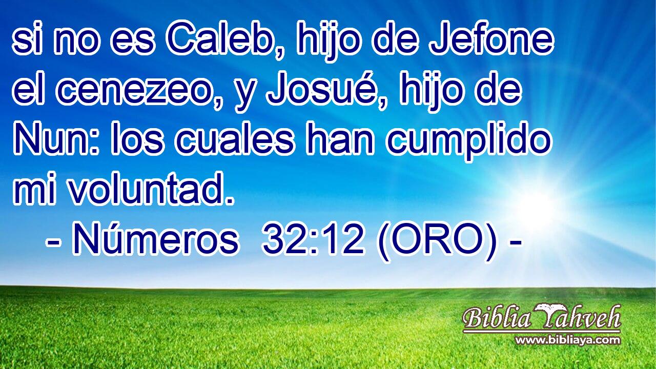  si no es Caleb, hijo de Jefone el cenezeo, y Josué, hijo de Nun: los cuales han cumplido mi voluntad. 